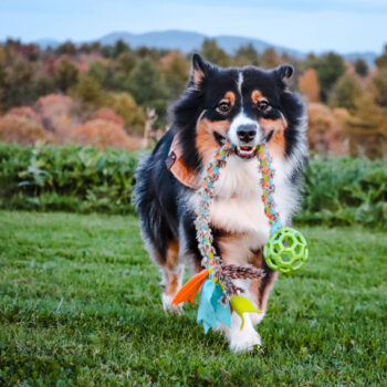 Custom Ball Tug