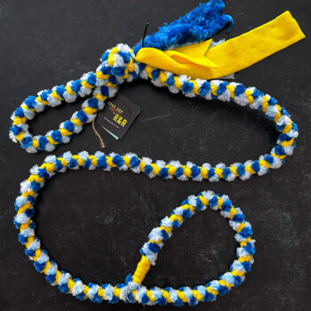 X-Strong Tug Leash (Standard Slip)