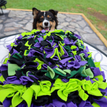 Custom Snuffle Mat